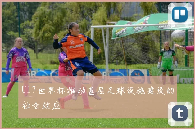 U17世界杯推动基层足球设施建设的社会效应
