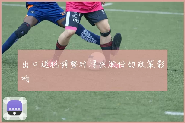 出口退税调整对浔兴股份的政策影响