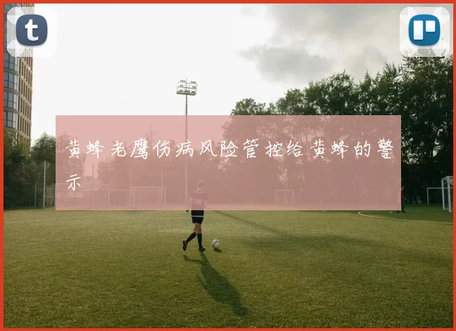 黄蜂老鹰伤病风险管控给黄蜂的警示